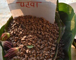 Local tribal communities have relied on forest resources for hundreds of years. Without damaging the environment, they pick fruits, mushrooms and nuts for their own sustenance, or sell them at markets for an income.  (Photo: Yvonne Chan / Oxfam)